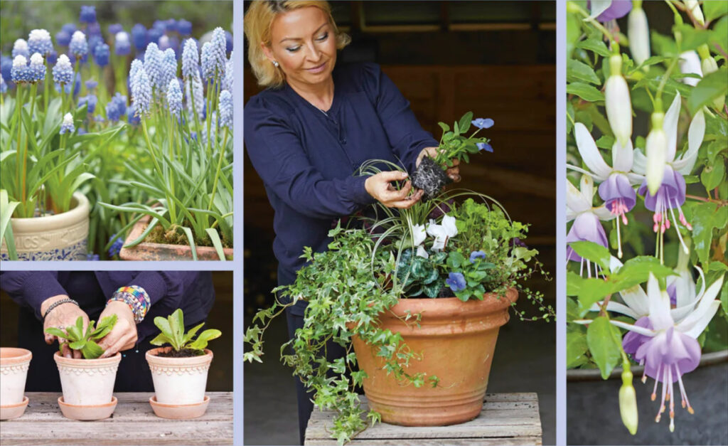 Since we last interviewed Anya Lautenbach, AKA “The Garden Fairy”, she has been appointed a National Garden Scheme ambassador – now, she’s just published her third book.