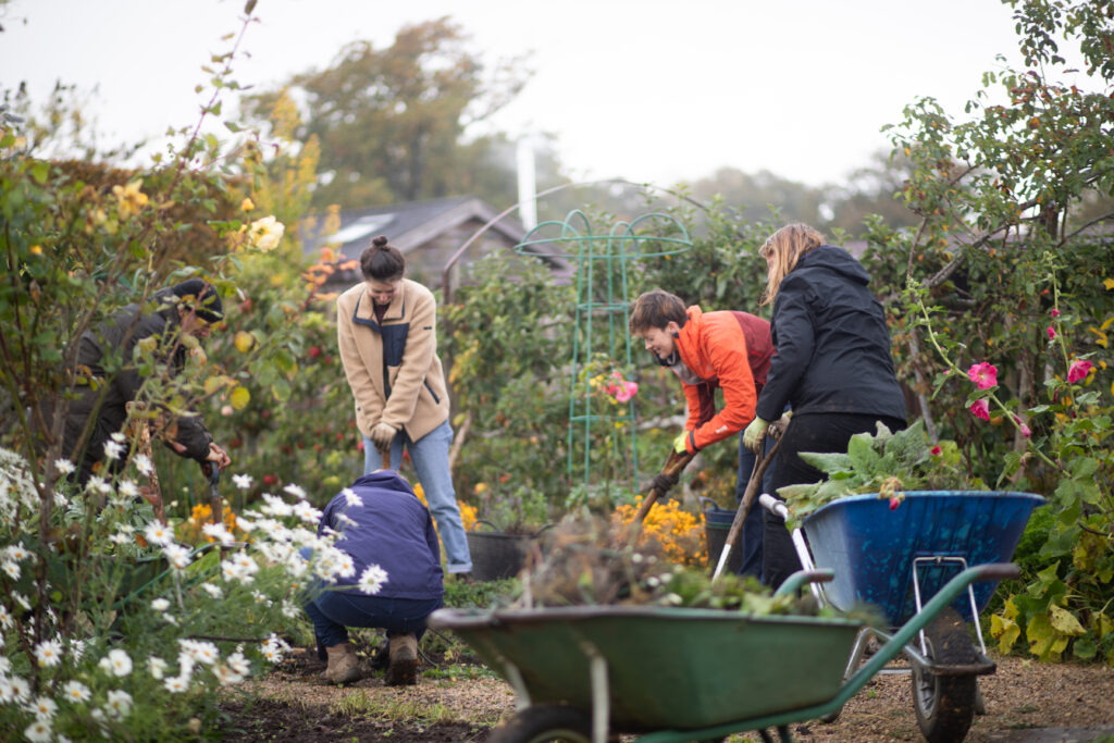 Wander the walled garden and vineyard at Bridewell Gardens in West Oxfordshire during its Open Days in 2026.