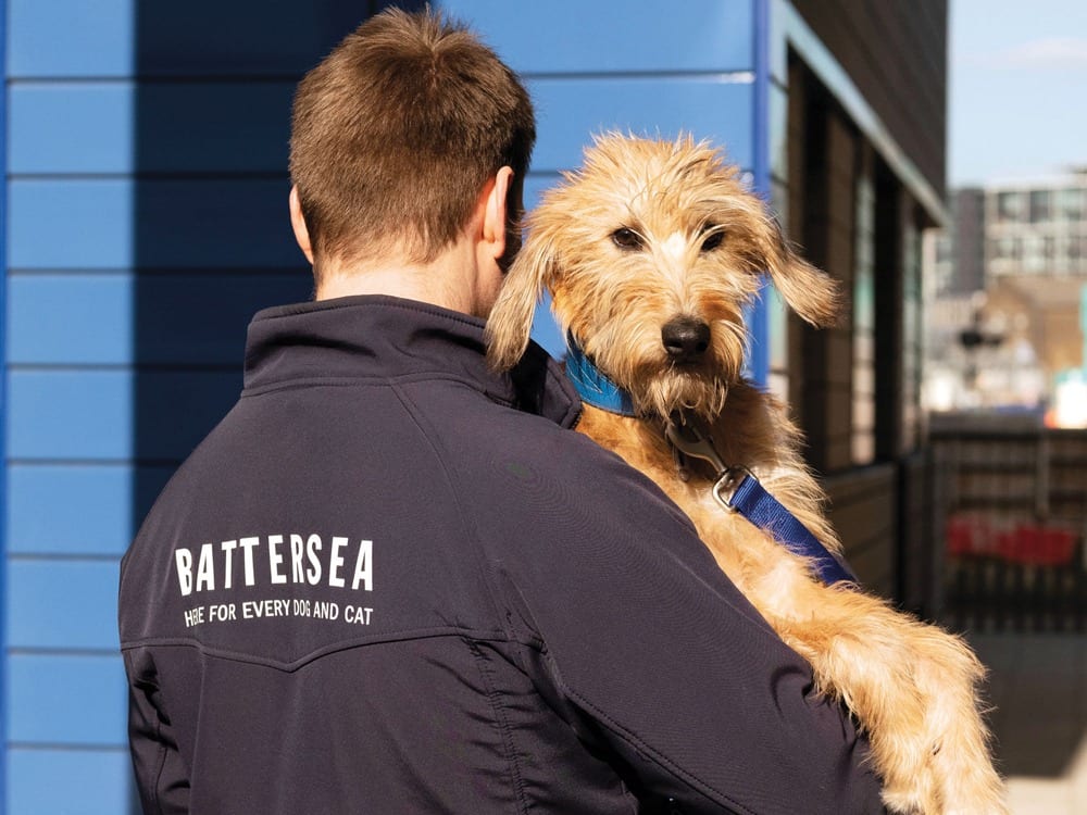 For 159 years, Battersea Dogs & Cats Home has rescued and rehomed lost, abandoned, neglected and unwanted pets that, through no fault of their own, have found themselves in desperate need of a second chance.