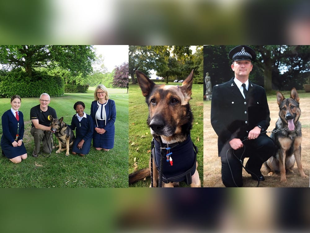 Britain’s bravest police dog who was stabbed in the line of duty has visited Heathfield School with his handler to discuss the role of police animals, perseverance and resilience.