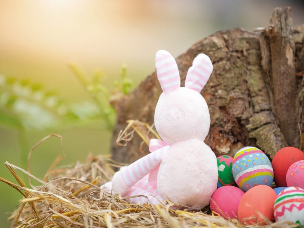 You’re never too old to enjoy an Easter egg hunt which is lucky for you as there are some cracking ones to enjoy!