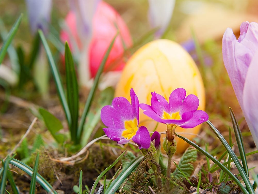 Shell out on some family fun at these cracking Easter egg hunts.