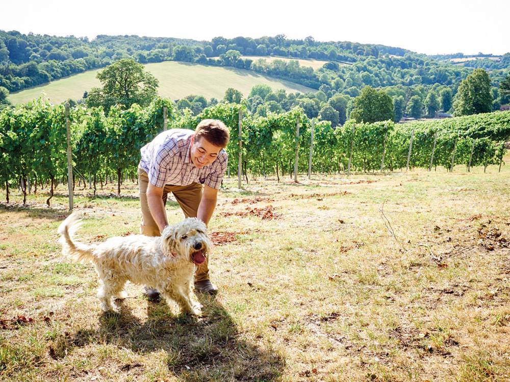 Tour guide and expert in all things wine, Marcus Rees invites his fellow enthusiasts to embark on a delightful journey around the winemakers of Oxfordshire and the north Cotswolds.