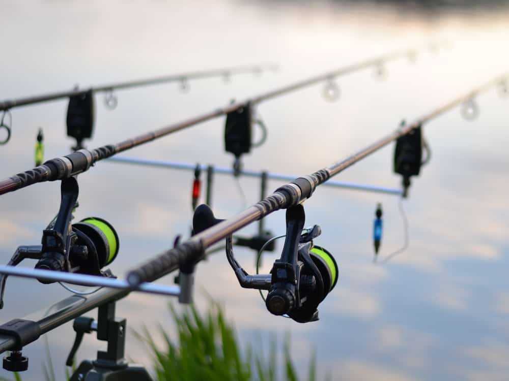 Fishing is a reel-ly big pull for millions of people and what can be better than sitting by the river in the sunshine – you may fin-ish up with a big catch you’ll have something to carp on about to your friends!