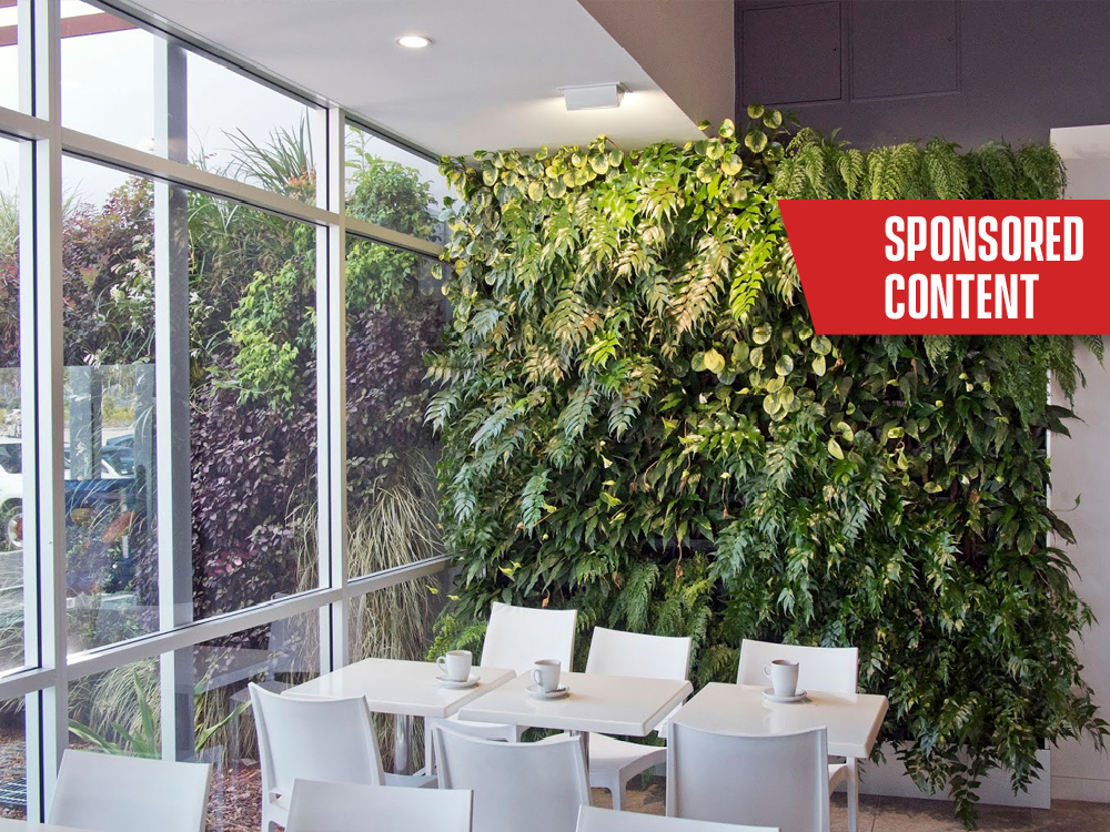 Gardarica offers ‘living walls’ tailor-made to the needs of your home, garden or business from design to construction