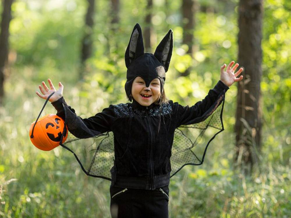 There are plenty of Halloween activities and ideas to entertain your little monsters this holiday.