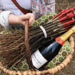 Sparkling wine producer Jenkyn Place