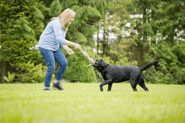 Hearing Dogs for Deaf People trains clever dogs to alert deaf people to important and life-saving sounds, including smoke alarms, intruder alarms, oven timers, alarm clocks and even baby monitors.