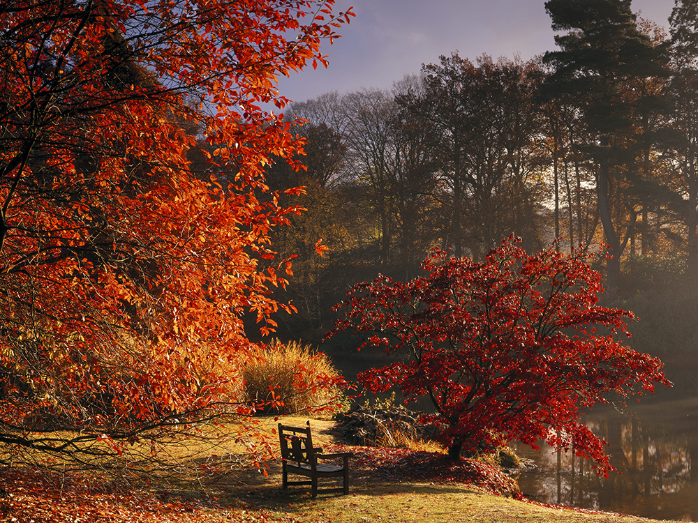 A stunning autumn walk among the carousel of colours and nature are the ideal way to spend time this season