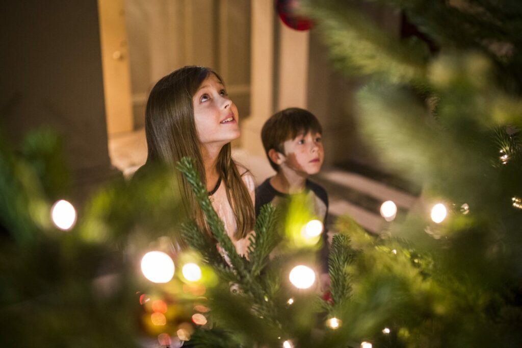 Set a date to come together with family and friends for a Christmassy catch-up at a visit to a National Trust site in Sussex.