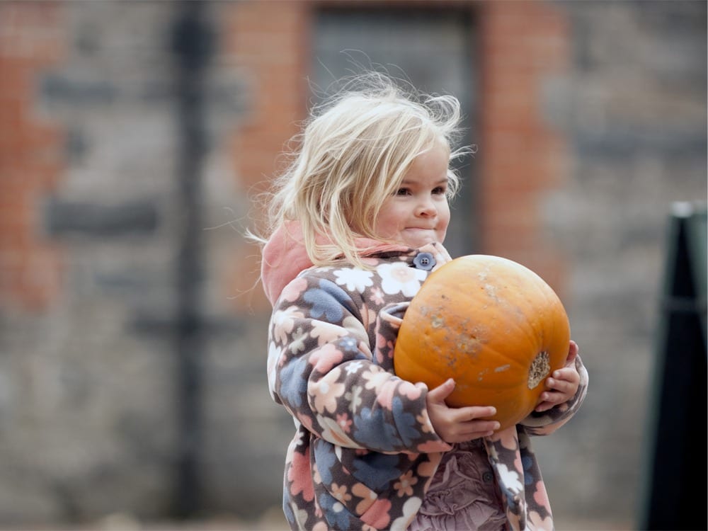 Things to do this half term Oxfordshire & Berkshire