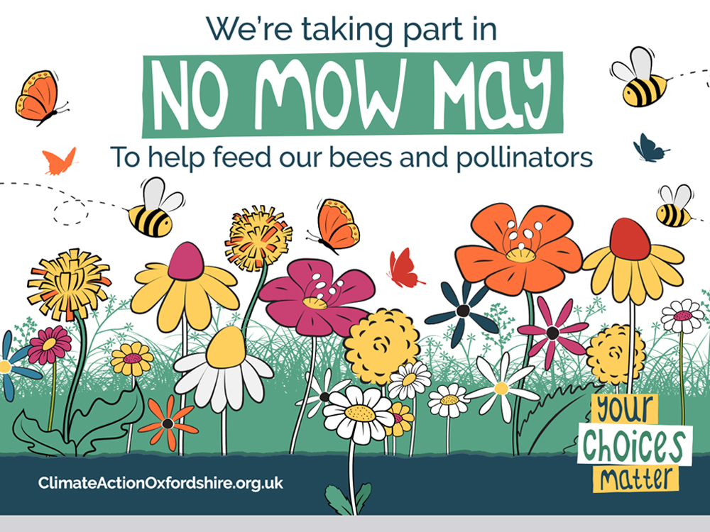 No Mow May to help wildlife! Round and About • Round & About Magazine