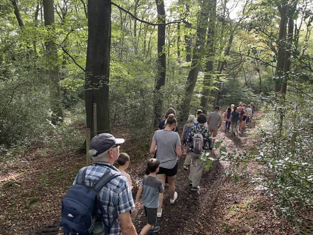 The Prestwood Nature team invite you to enjoy the season of mellow fruitfulness with a wildflower walk on 6th October, volunteering sessions at Boug's Meadow & more!