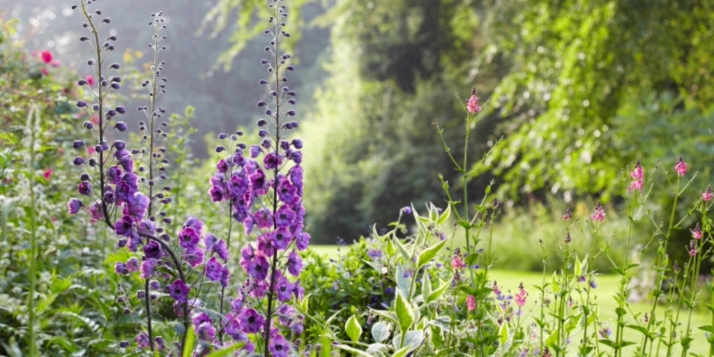 The Old Rectory in Farnborough has been lovingly tended for more than half a century, helping raise funds for charity thanks to the National Garden Scheme, so why not visit?