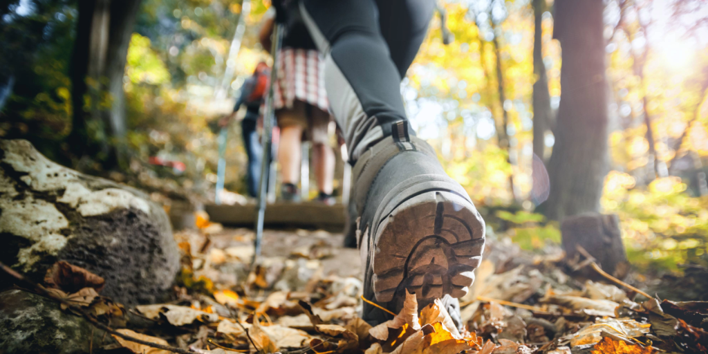 Like to amble, ramble, saunter, stroll, march or trapise, then Alton Walking Festival is for you with walks to suit every explorer this month