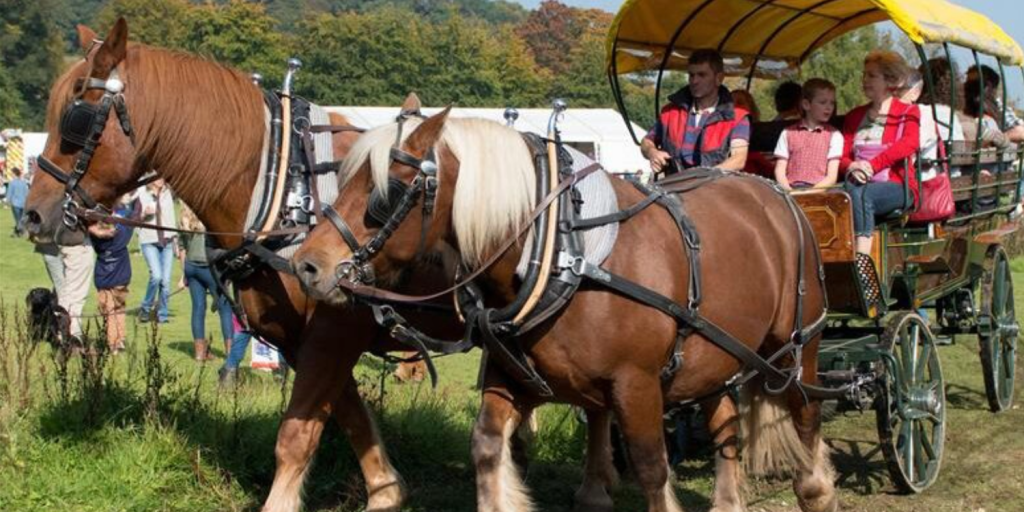 Experience the future of countryside skills with demos and fun family activities at Merrist Wood College, Guildford, June 21st & 22nd