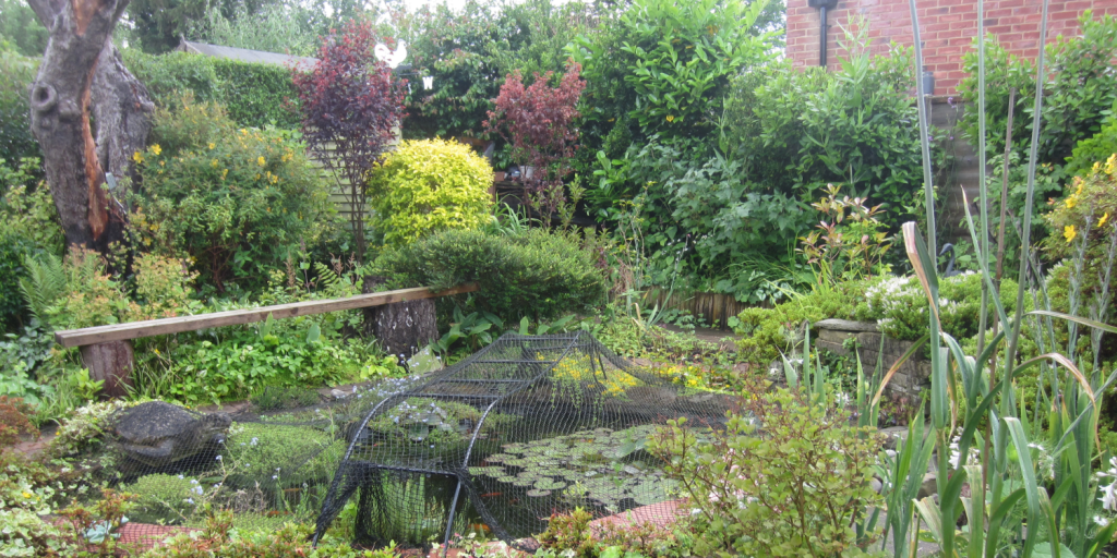 David Bromley tells us how Horsell is once again looking forward to welcoming visitors to its annual garden safari on June 14th & 15th