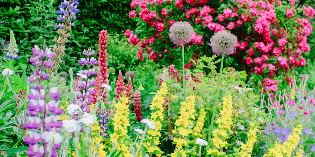 Enjoy a quintessentially English afternoon in a picturesque village admiring the beauty of the gardens open to the public