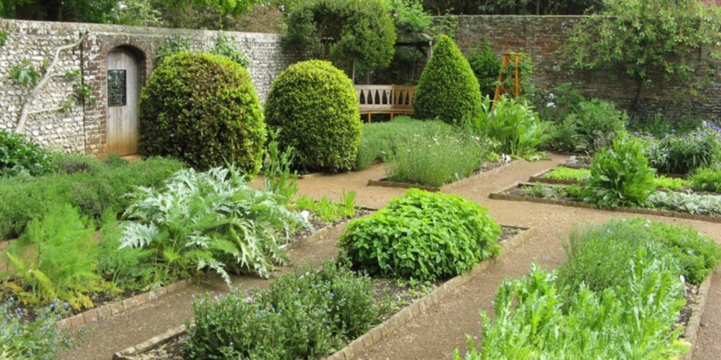 Volunteer gardener Melanie Oxley invites us to explore Petersfield Physic Garden on its 35th anniversary weekend