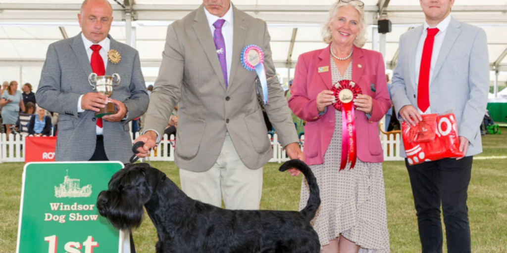 The crown jewel of canine exhibitions in aid of Battersea Old Windsor