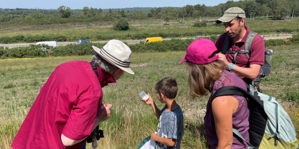 Thames Basin Heaths Partnership Heath Week events run from July 28th to August 3rd & they hope to see you there!