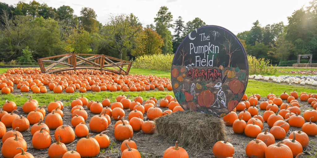 Priory Farm brings Halloween magic to life with enchanting trails and pumpkin adventures