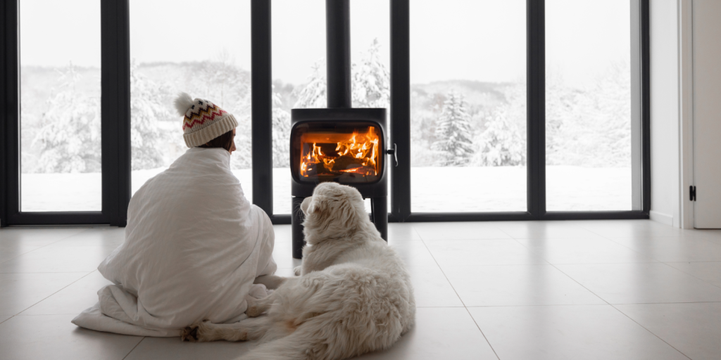 With autumn under way, you may see a different version of your dog than you have earlier in the year. So what’s going on? Zara Linehan of More Than Sit Dog Training has the answers