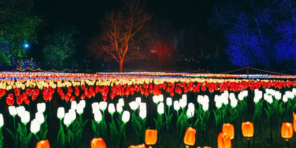 Lights, magic and winter wonder: three magical Illuminate trails invite you to step into the sparkle this season