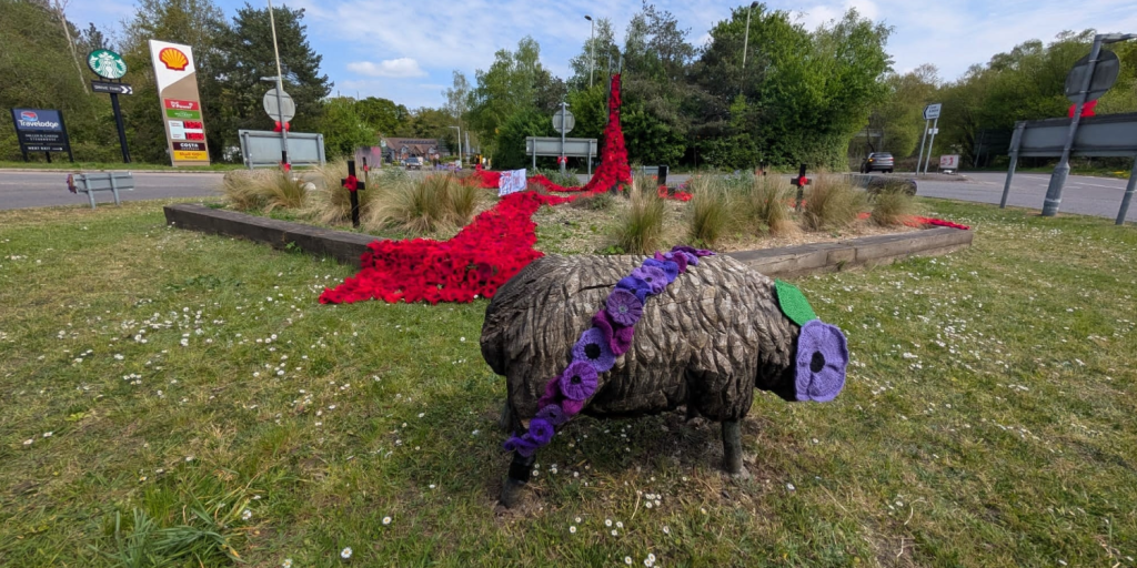 Your eyes aren’t deceiving ewe, there really are sheep in clothing on Fleet roundabout thanks to Sue Ashwood