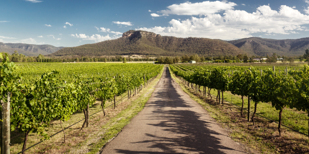 With Australia Day on the horizon, Round & About’s wine columnist Giles Luckett picks his Australian wines for 2026.