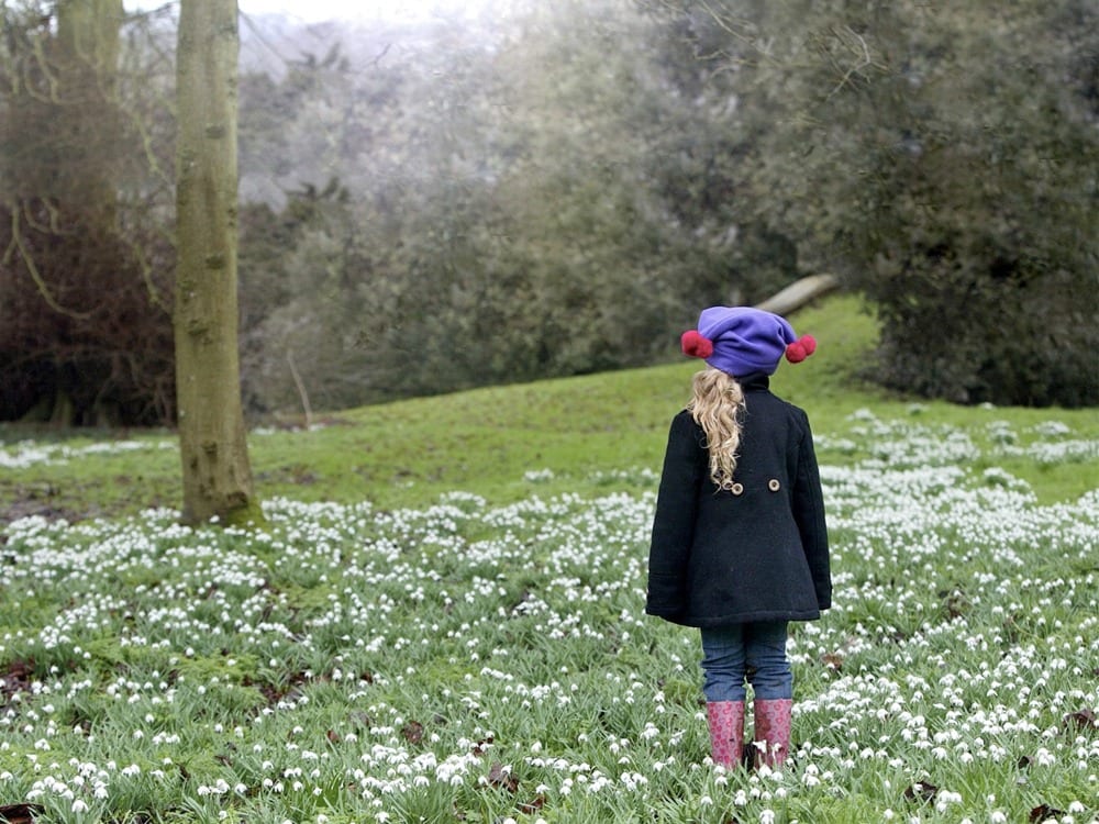 Join snowdrop walk and support Child Bereavement UK 