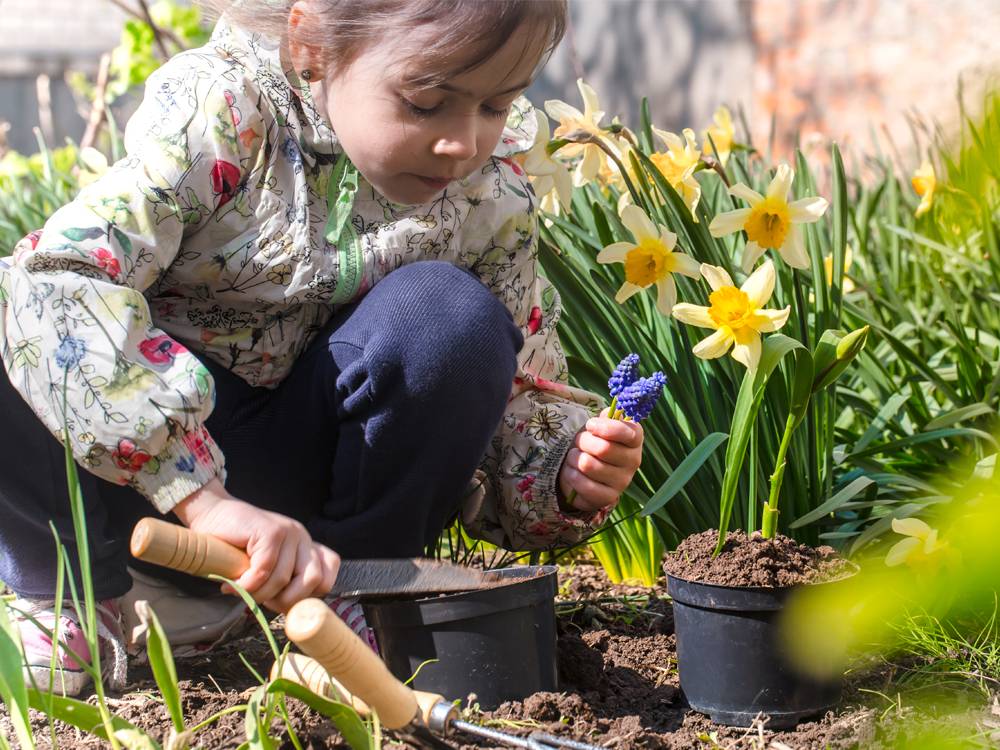 Spring, even the sound of the word lifts your spirits. Little shoots of colour start to emerge and with it hope for the warmer months ahead, so get digging and clearing and start getting your garden in shape