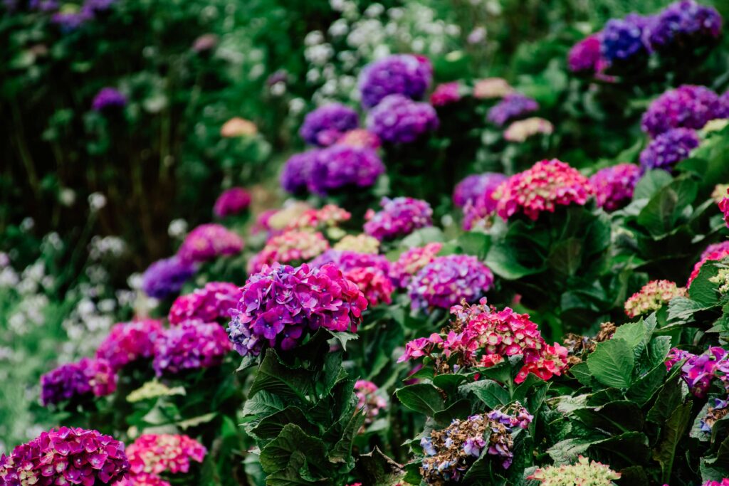 Find out which ones are open near you and explore!