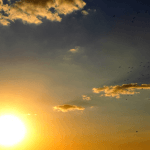summer sun